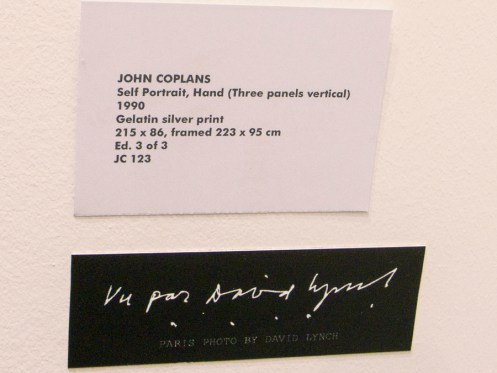 la foto di David Lynch sotto un'opera selezionata