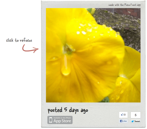 foto di Luca Pianigiani creata cin la App Twuistfocus