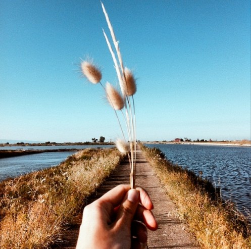 @maka_smirnova - http://instagram.com/maka_smirnova - 371.000 followers - Saint Petersburg - Federazione Russa