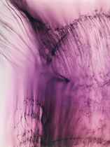 LOT 63 , SALE 1513 WOLFGANG TILLMANS (B. 1968) FREISCHWIMMER, 56, 2004 PRICE REALIZED £86,500