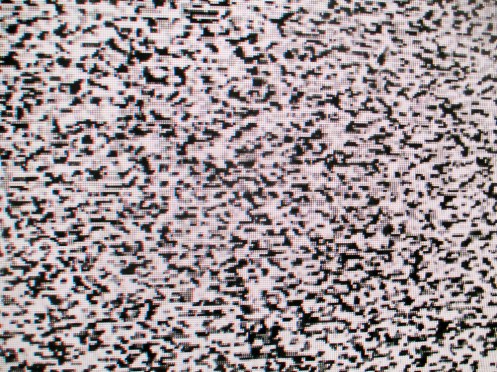 Wolfgang Tillmans - COURTESY DAVID ZWIRNER, NEW YORK